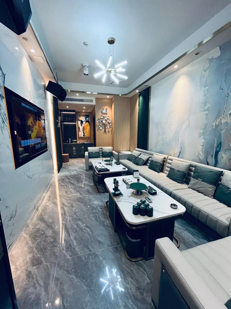 鹤岗商务ktv体验分享-兴山区ktv预订